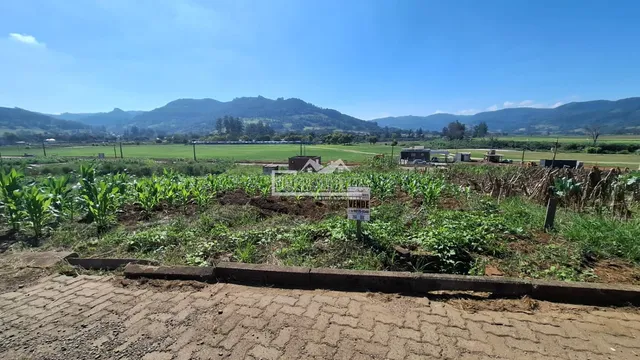 Terreno, foto 2