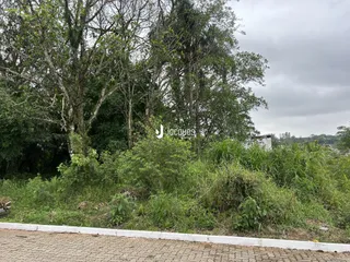 Vista externa de vegetação densa com cerca no primeiro plano.