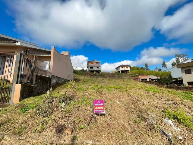 Terreno