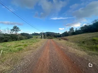 Uma estrada de terra atravessa campos gramados sob um céu azul.