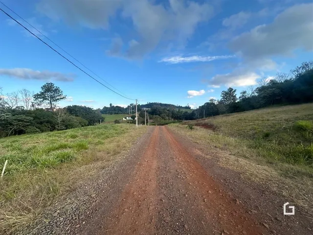 Uma estrada de terra atravessa campos gramados sob um céu azul.