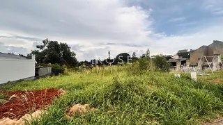 Terreno, foto 2