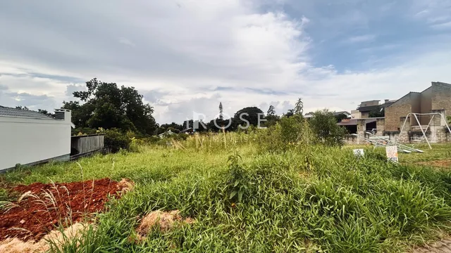 Terreno, foto 2
