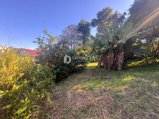 Vista externa de um terreno com vegetação densa e grama seca.