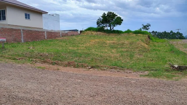 Terreno, foto 3