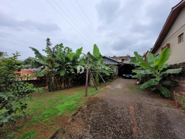 Vista externa da propriedade com vegetação exuberante e um caminho de terra.