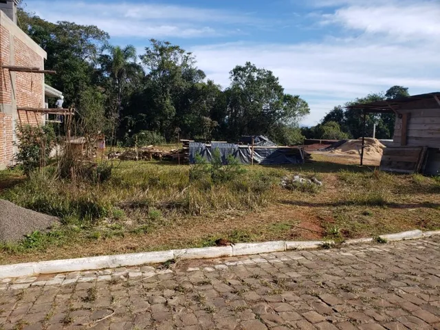 Vista externa de um terreno com vegetação alta e terra exposta.