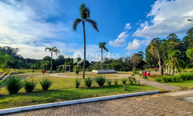 Vista externa do terreno com gramado e palmeiras sob um céu azul.