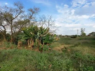 Área rural, foto 3