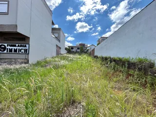 Vista externa de uma propriedade com muro e vegetação alta.