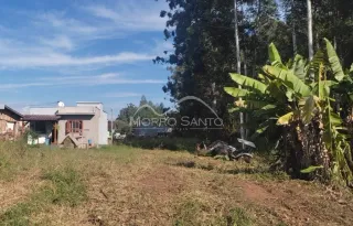 Terreno, foto 1