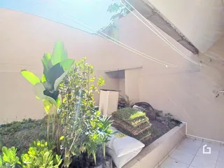 Vista externa de um jardim com vegetação densa ao lado de uma parede branca.