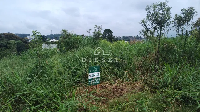 Paisagem de vegetação densa com uma placa no meio da imagem.