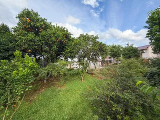 Vista de um jardim verde com árvores frondosas sob um céu azul.
