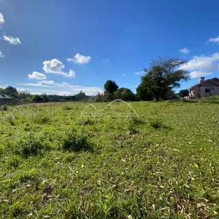 Paisagem de campo com grama verde sob um céu azul.