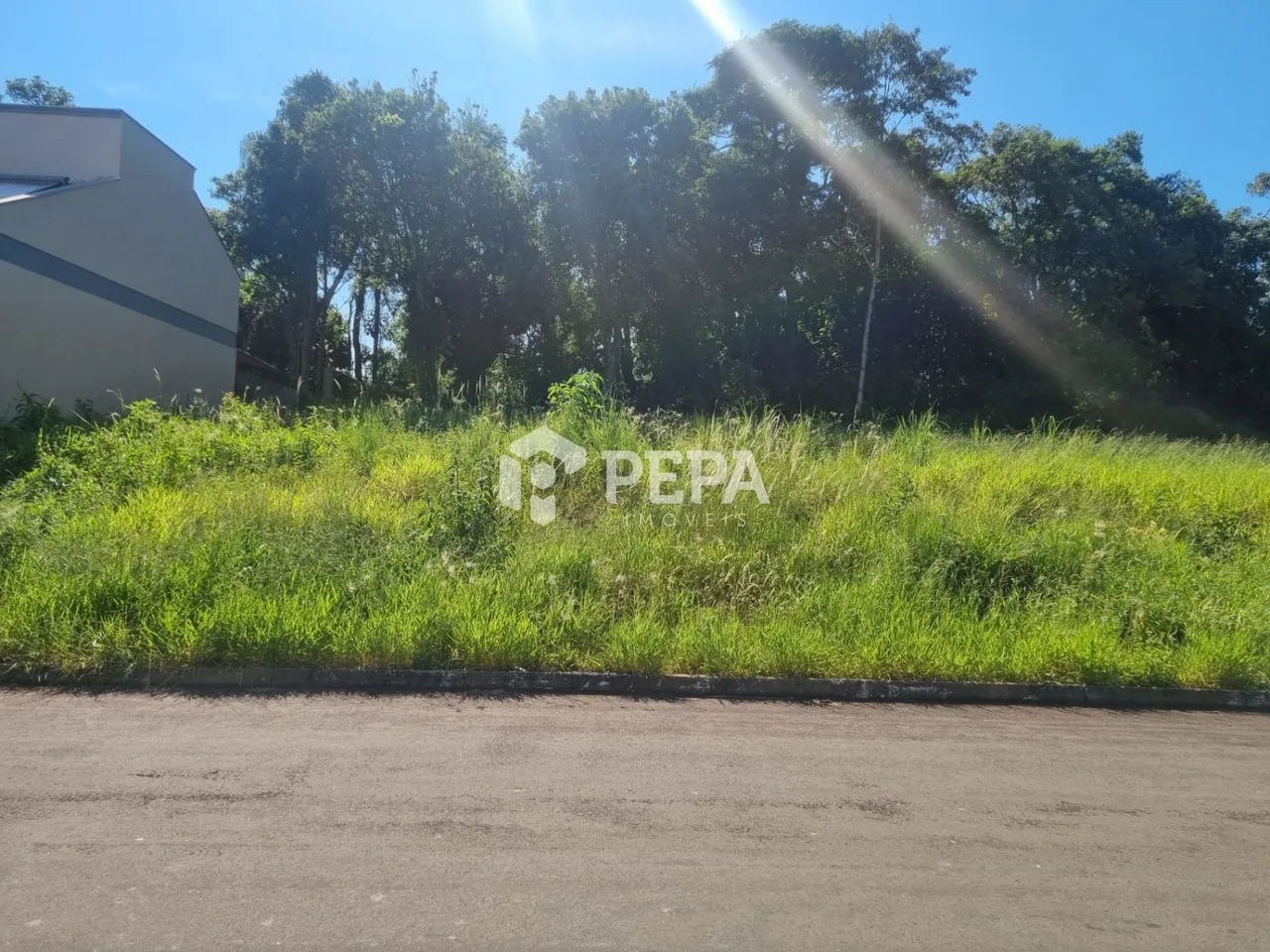 Terreno, foto 1