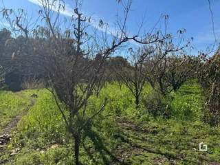 Área rural com 4 dormitórios, foto 11