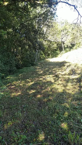 Terreno, foto 11