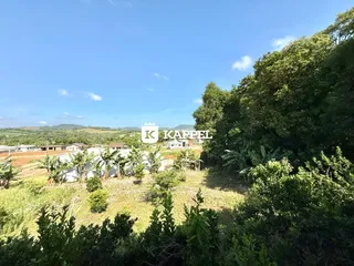 Vista panorâmica de uma paisagem rural com vegetação densa e campos ao fundo.