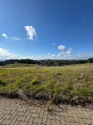 Vista panorâmica de um campo gramado sob um céu azul claro.