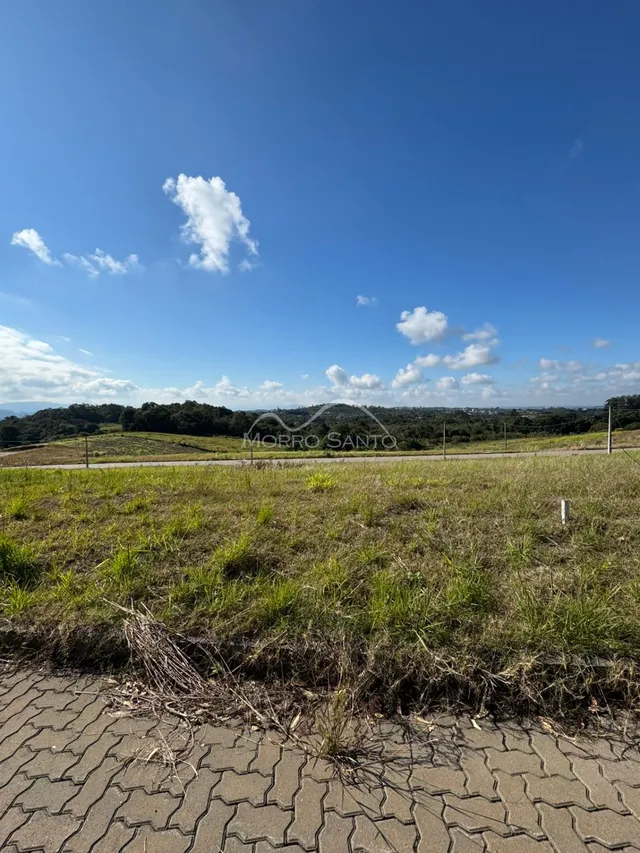 Vista panorâmica de um campo gramado sob um céu azul claro.