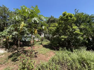 Área rural com 2 dormitórios, foto 4