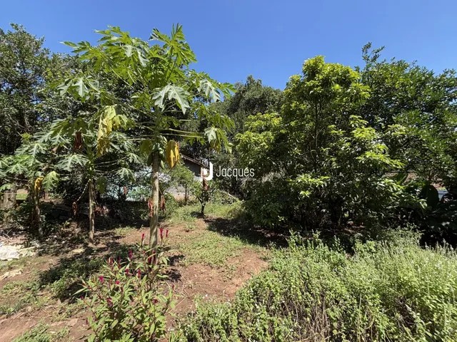 Área rural com 2 dormitórios, foto 4