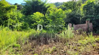 Área rural, foto 9