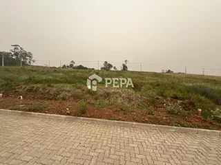 Terreno, foto 2