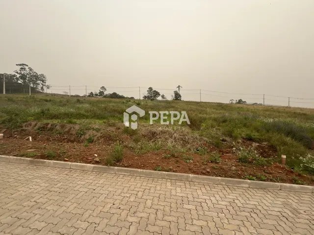 Terreno, foto 2