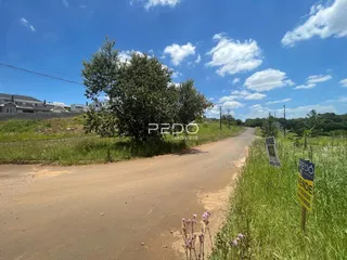 Uma estrada de terra atravessa uma área com vegetação densa.