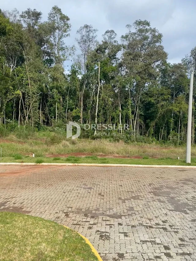 Terreno, foto 2
