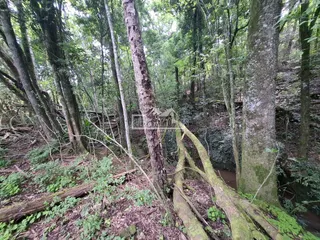 Área rural, foto 11
