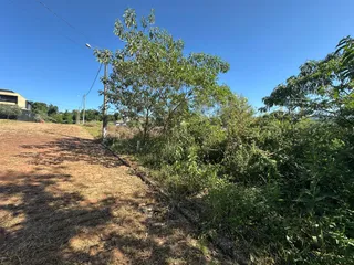 Vista de vegetação e campo seco sob um céu azul.