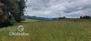 Paisagem de campo com vegetação e montanhas ao fundo.