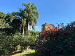 Área rural com 3 dormitórios, foto 34