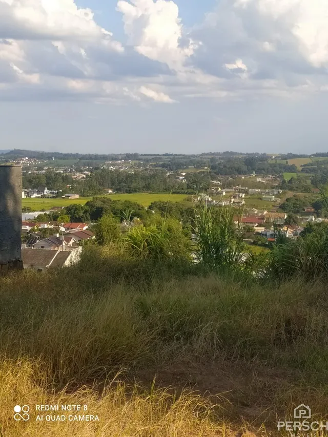 Terreno, foto 3