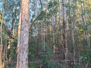 Área rural, foto 11