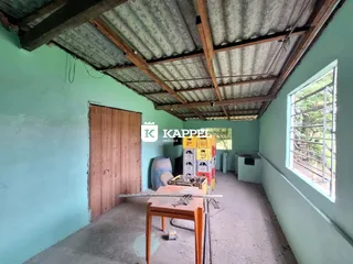 Foto de um cômodo com estrutura de teto exposta e paredes de cor verde clara.