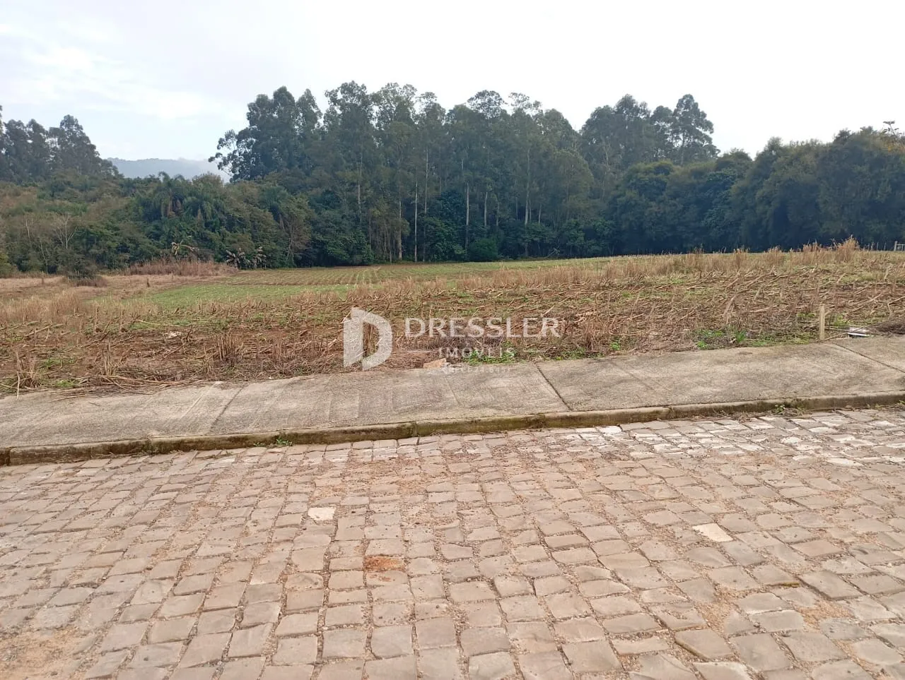 Terreno, foto 1