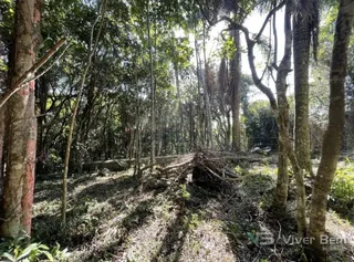 Terreno, foto 1