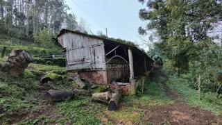 Área rural, foto 13