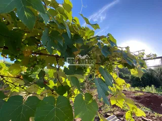 Área rural, foto 13