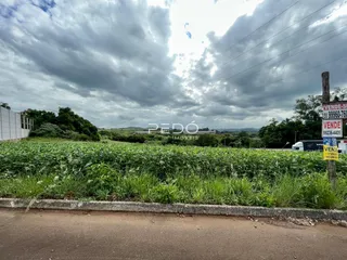 Paisagem de campo com vegetação densa ao longo de uma estrada.