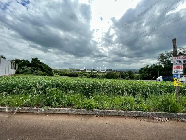 Terreno, foto 2
