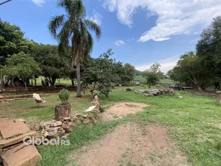 Vista de um terreno gramado com árvores e um caminho de terra.
