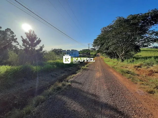 Vista de uma estrada de terra rural com vegetação ao redor.