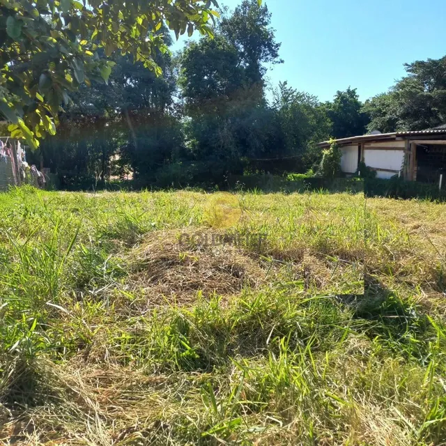 Terreno, foto 2