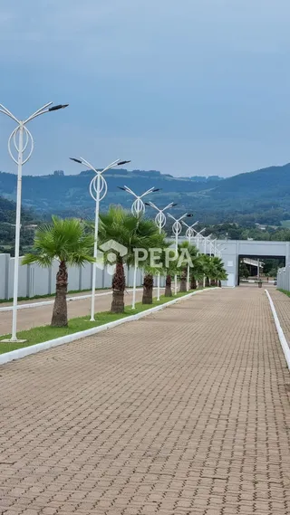 Terreno, foto 5
