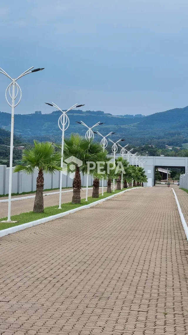 Terreno, foto 5